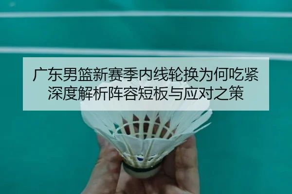 广东男篮新赛季内线轮换为何吃紧 深度解析阵容短板与应对之策