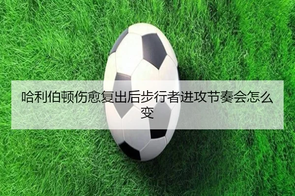哈利伯顿伤愈复出后步行者进攻节奏会怎么变